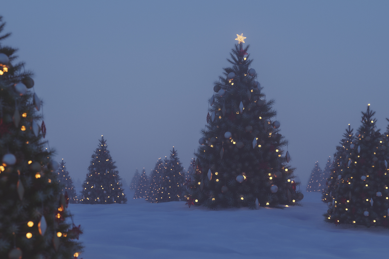 Christmas Tree Sweepstakes Rules